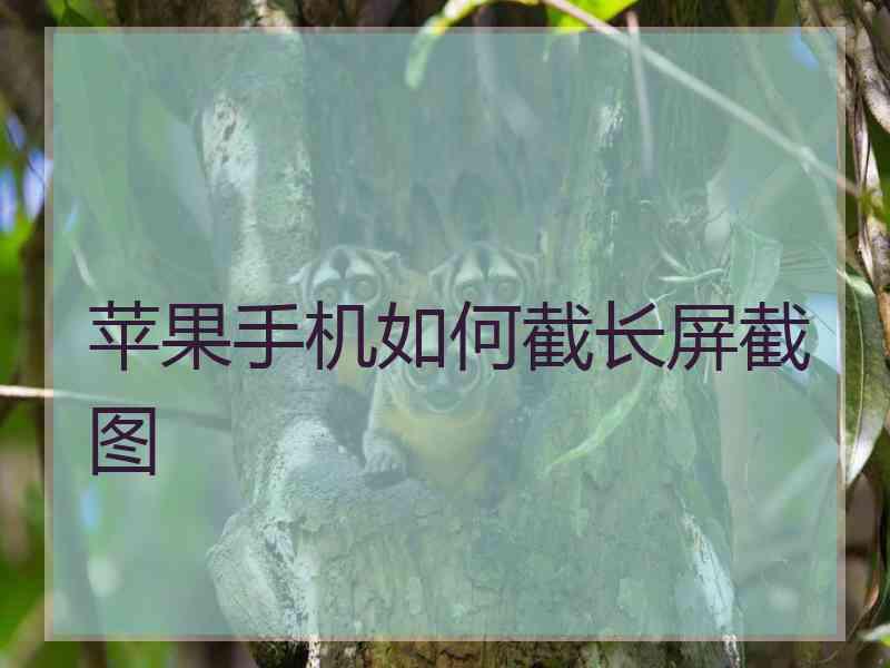 苹果手机如何截长屏截图