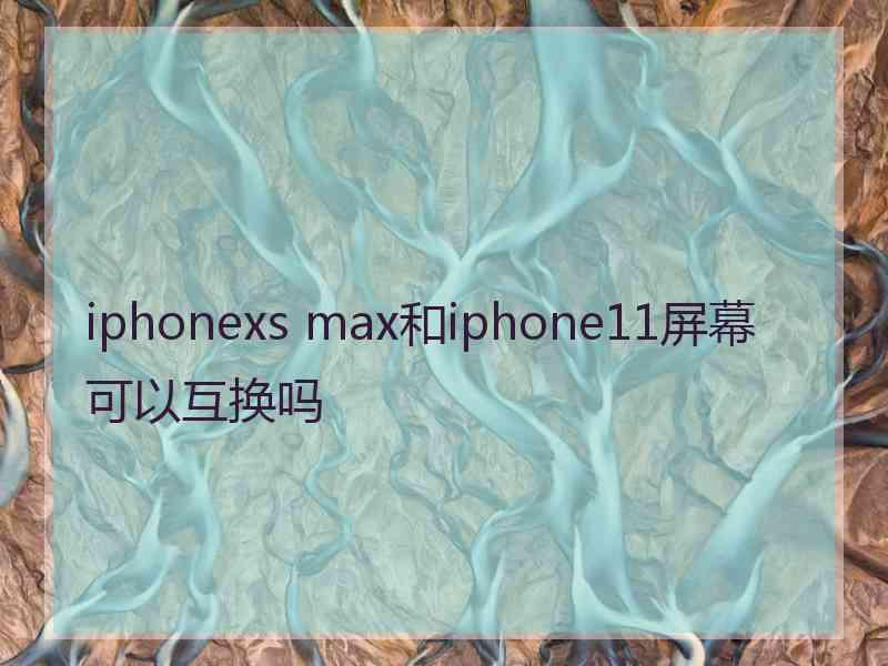 iphonexs max和iphone11屏幕可以互换吗