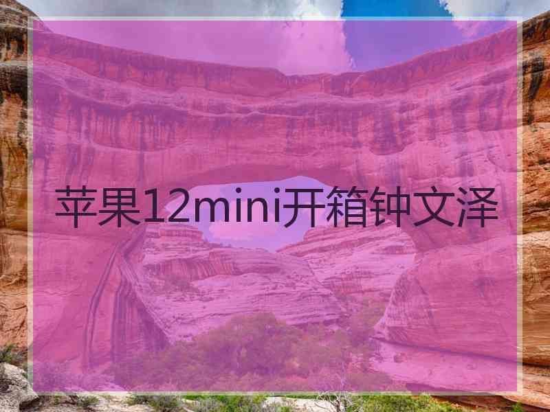 苹果12mini开箱钟文泽