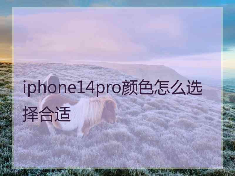 iphone14pro颜色怎么选择合适