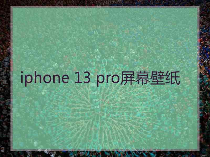 iphone 13 pro屏幕壁纸