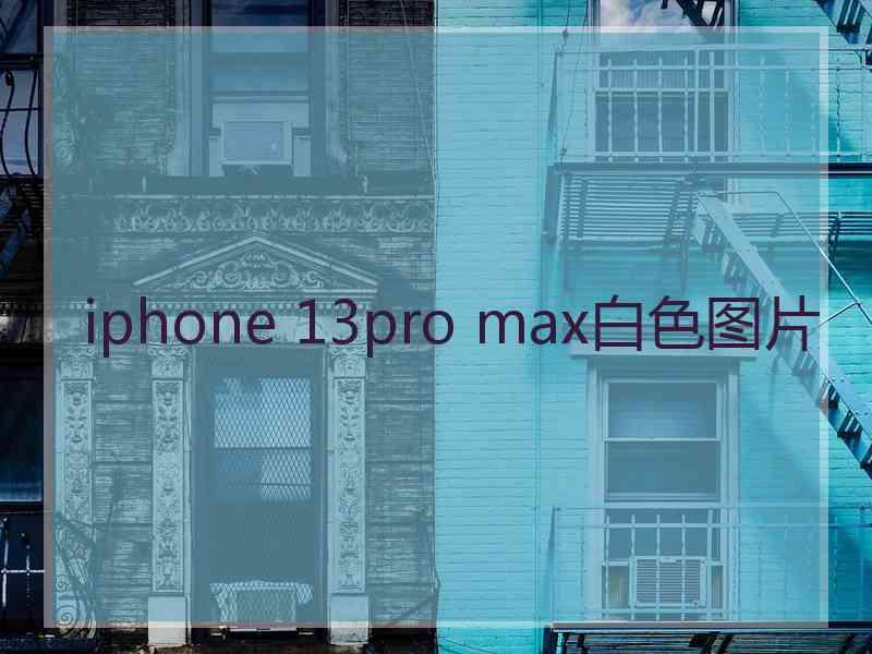 iphone 13pro max白色图片