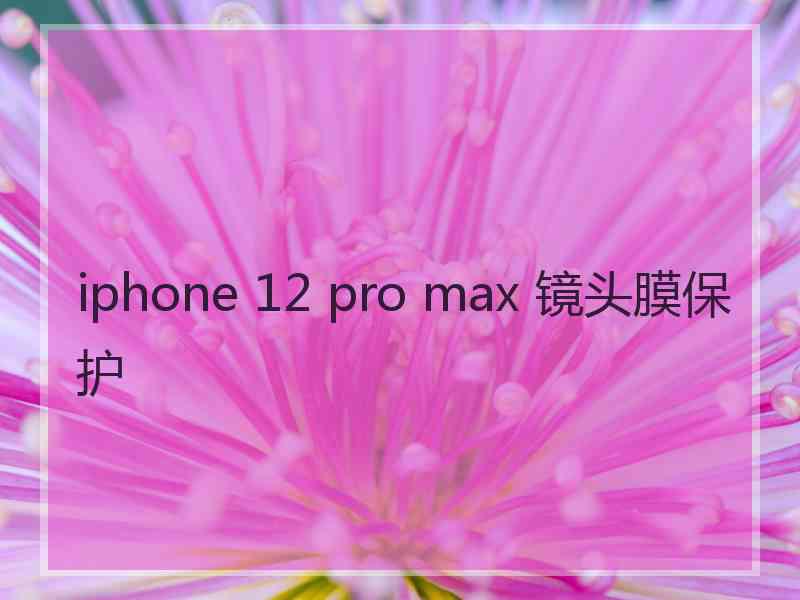 iphone 12 pro max 镜头膜保护