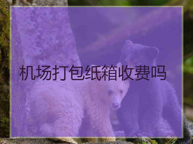 机场打包纸箱收费吗