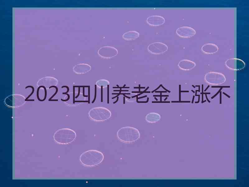 2023四川养老金上涨不