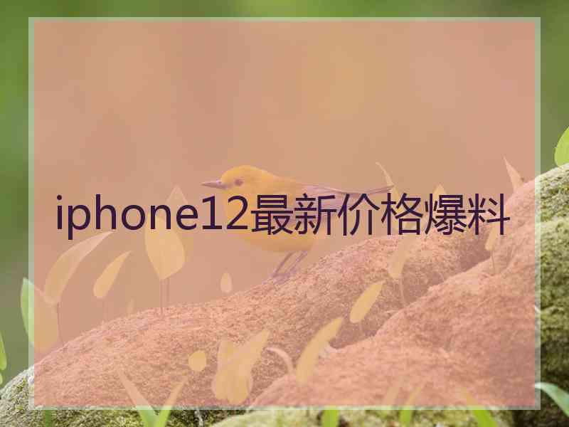 iphone12最新价格爆料