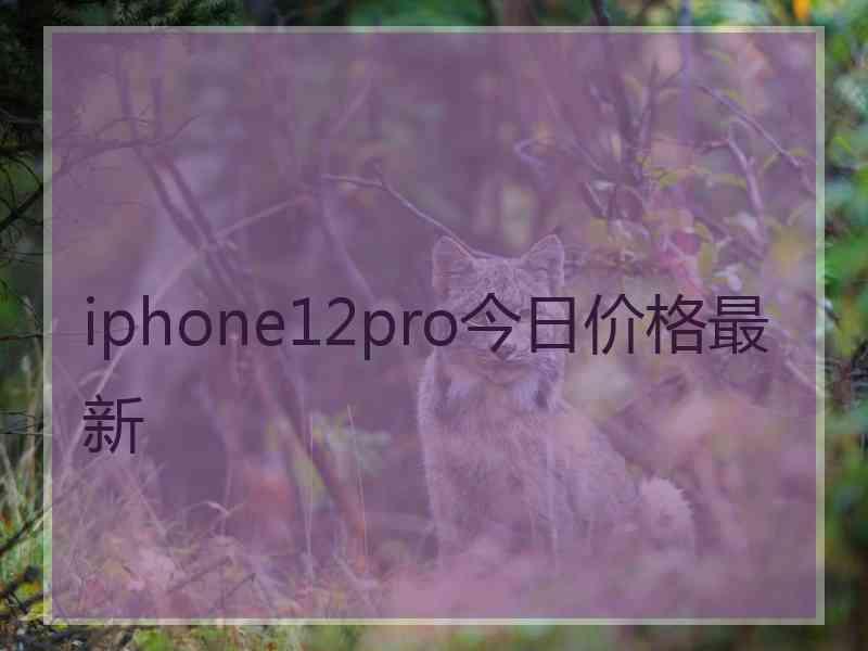 iphone12pro今日价格最新