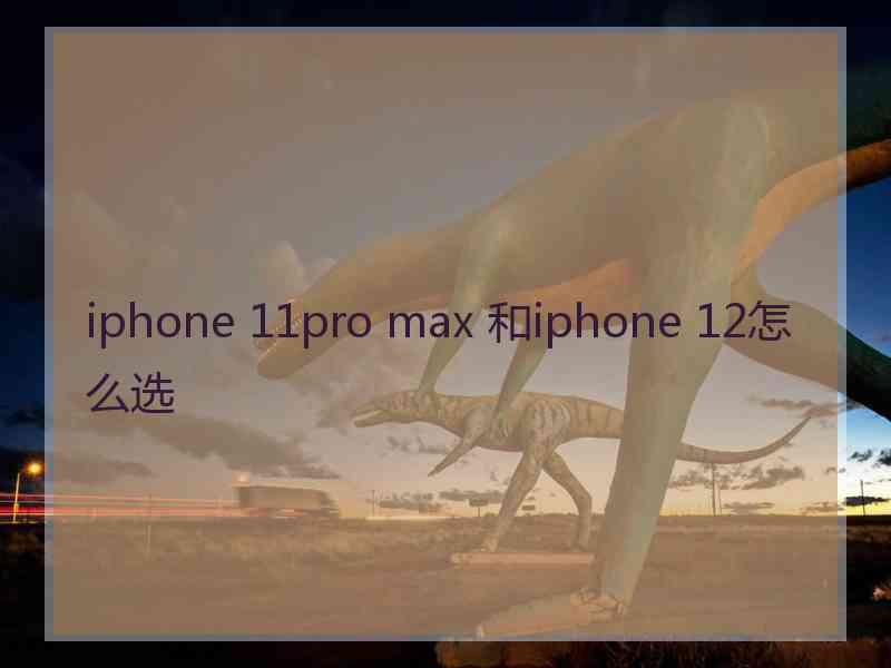 iphone 11pro max 和iphone 12怎么选