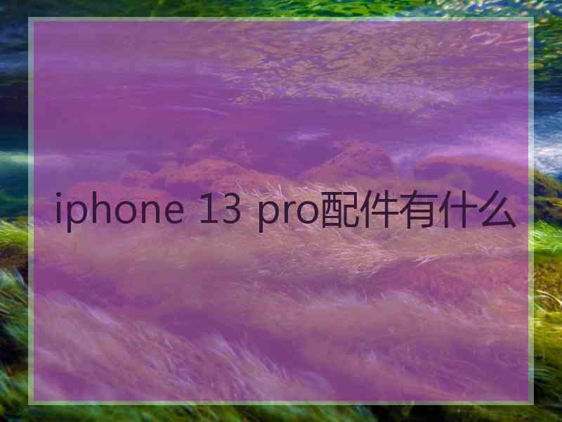 iphone 13 pro配件有什么