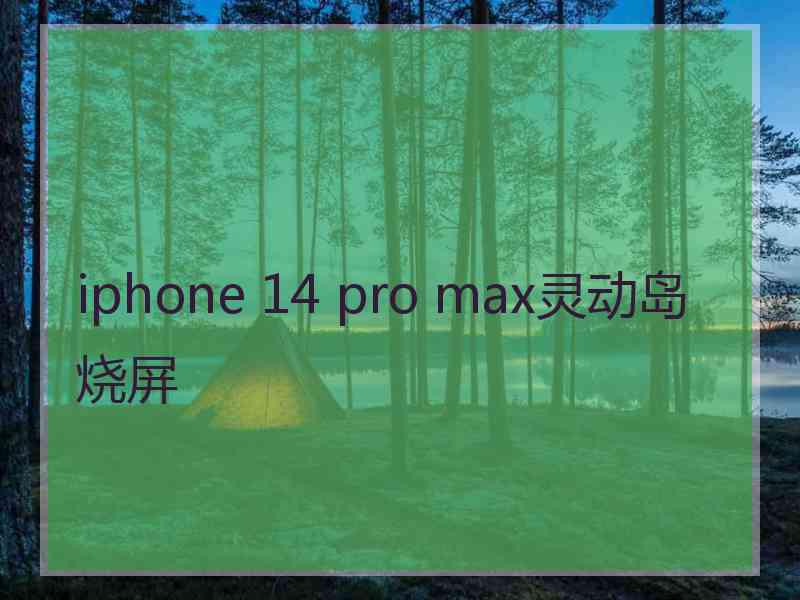 iphone 14 pro max灵动岛烧屏