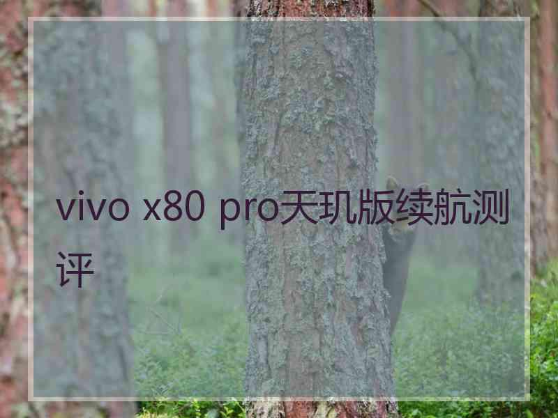 vivo x80 pro天玑版续航测评