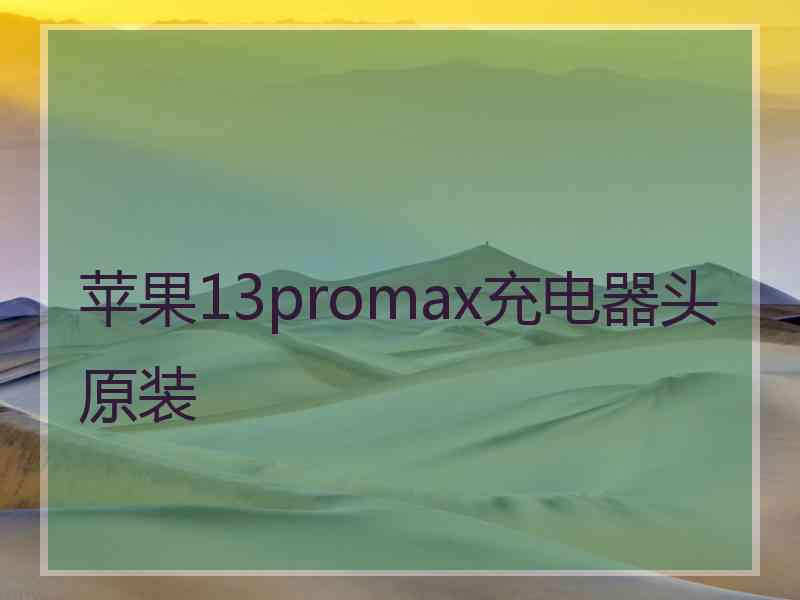 苹果13promax充电器头原装