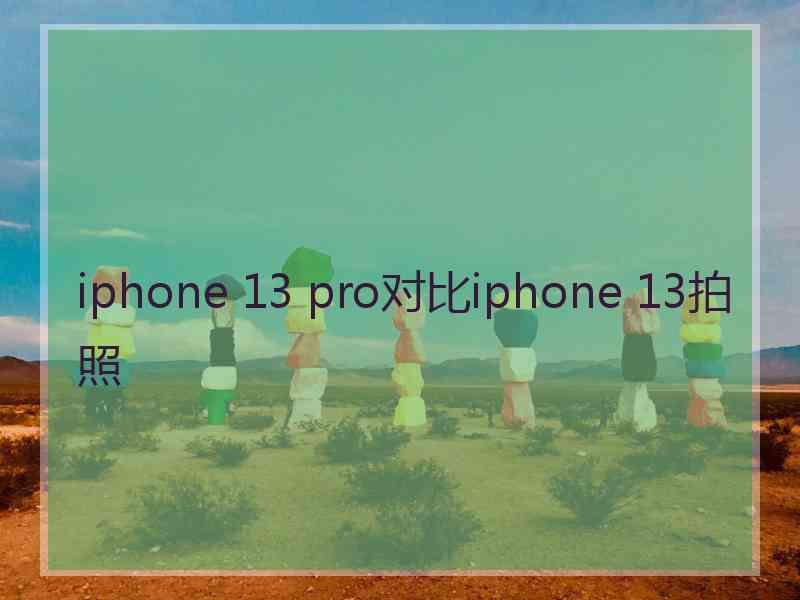 iphone 13 pro对比iphone 13拍照