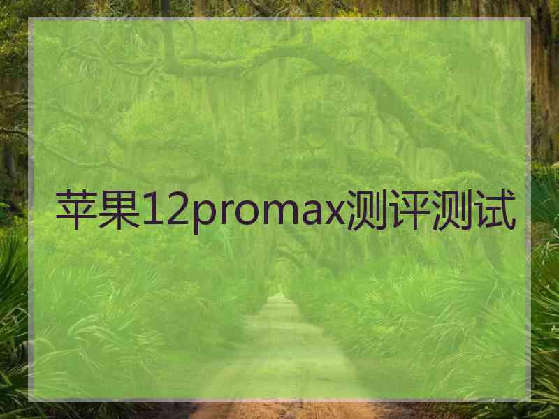 苹果12promax测评测试