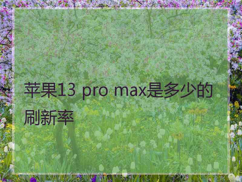 苹果13 pro max是多少的刷新率