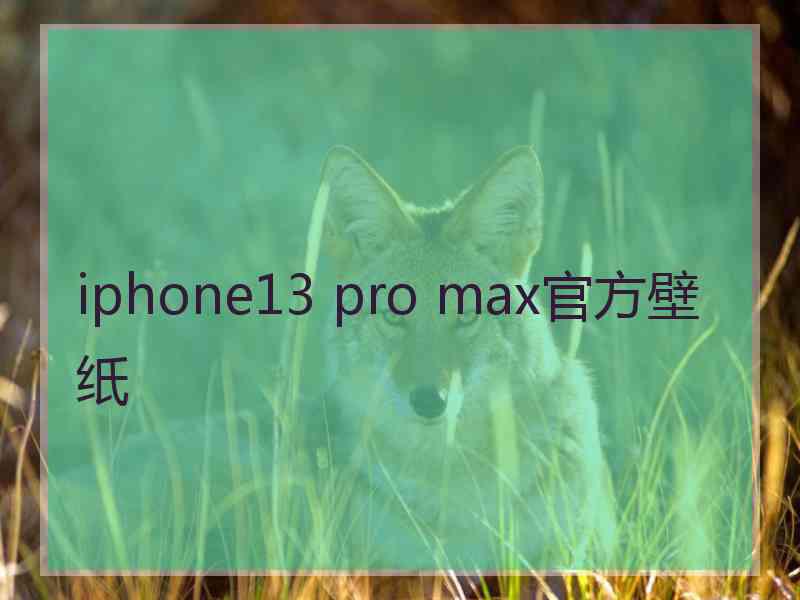 iphone13 pro max官方壁纸