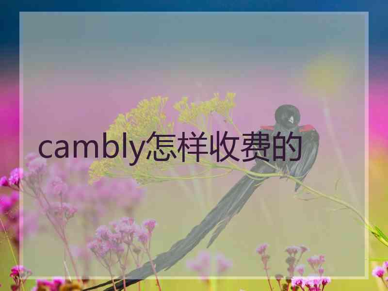 cambly怎样收费的