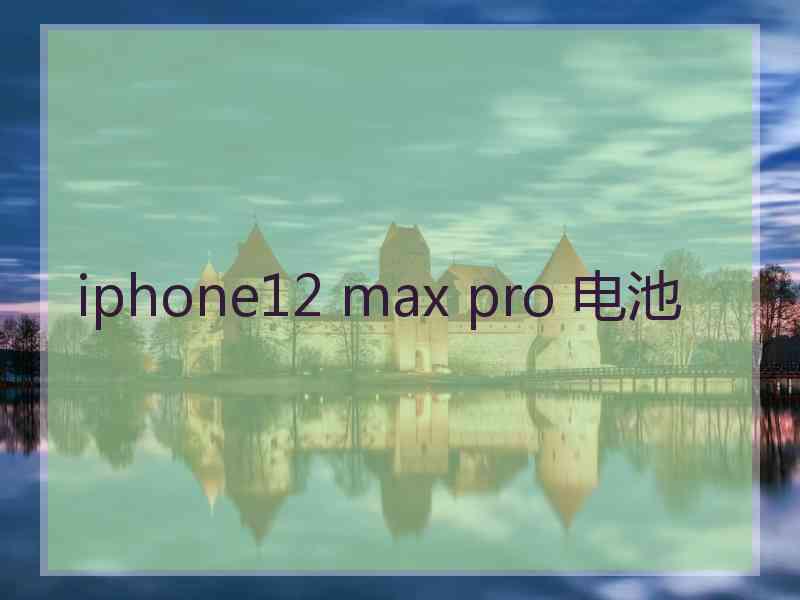 iphone12 max pro 电池