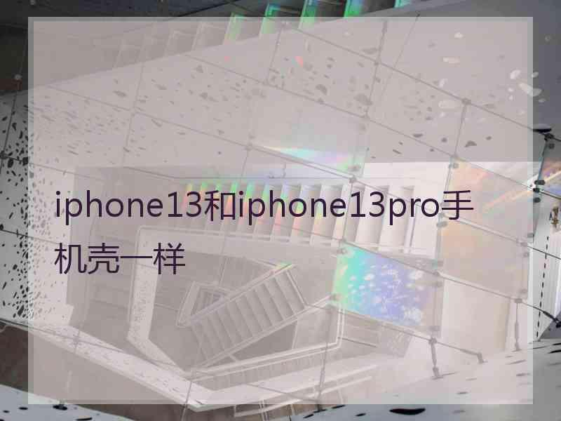 iphone13和iphone13pro手机壳一样