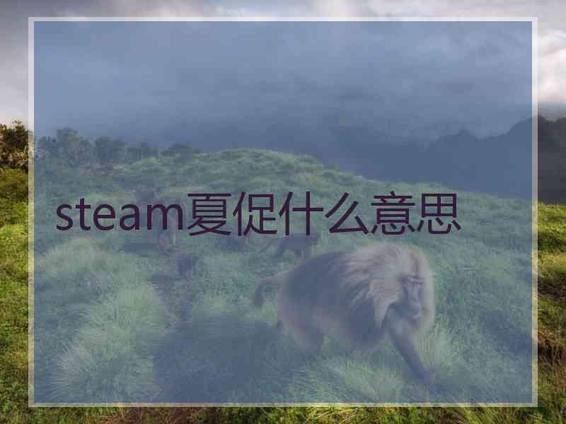 steam夏促什么意思