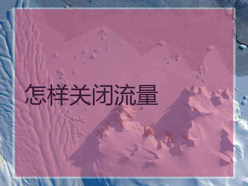 怎样关闭流量