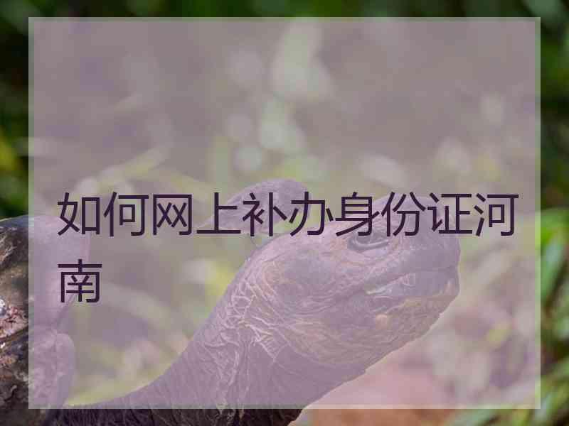 如何网上补办身份证河南