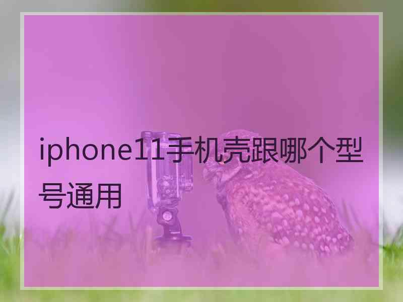 iphone11手机壳跟哪个型号通用