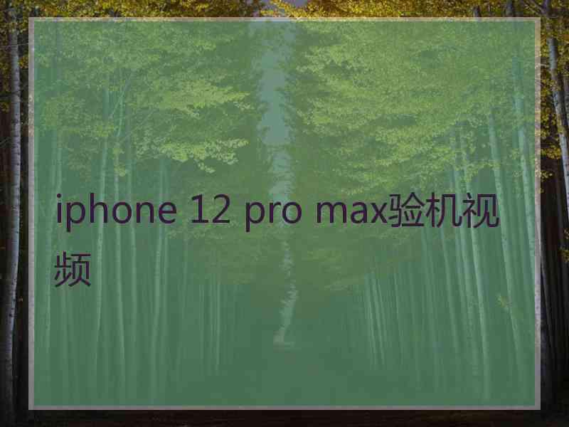 iphone 12 pro max验机视频