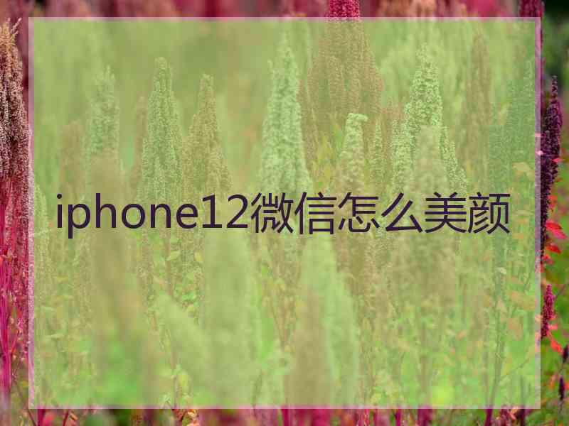 iphone12微信怎么美颜