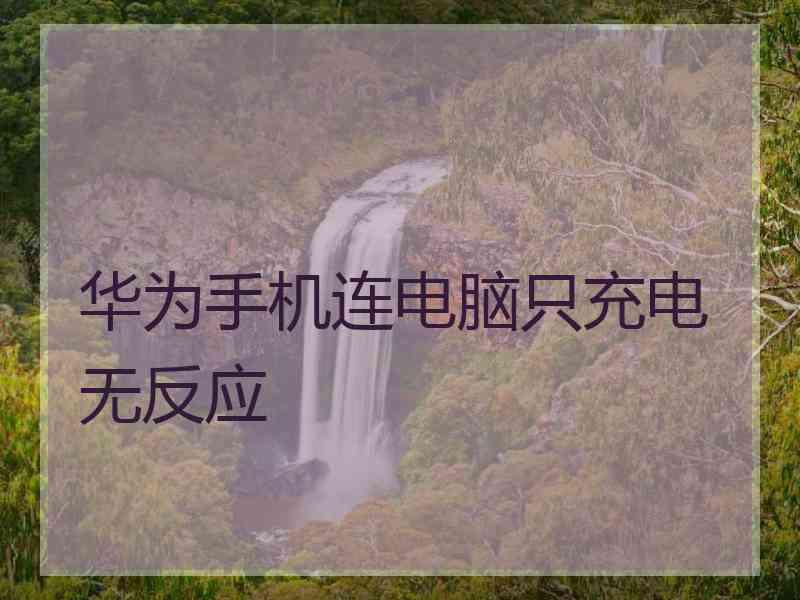 华为手机连电脑只充电无反应