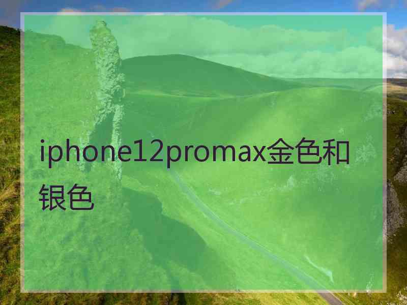 iphone12promax金色和银色