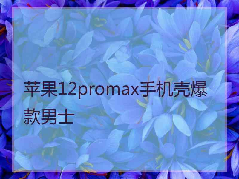 苹果12promax手机壳爆款男士