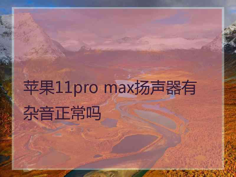 苹果11pro max扬声器有杂音正常吗