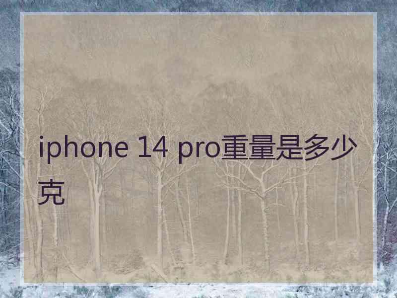 iphone 14 pro重量是多少克