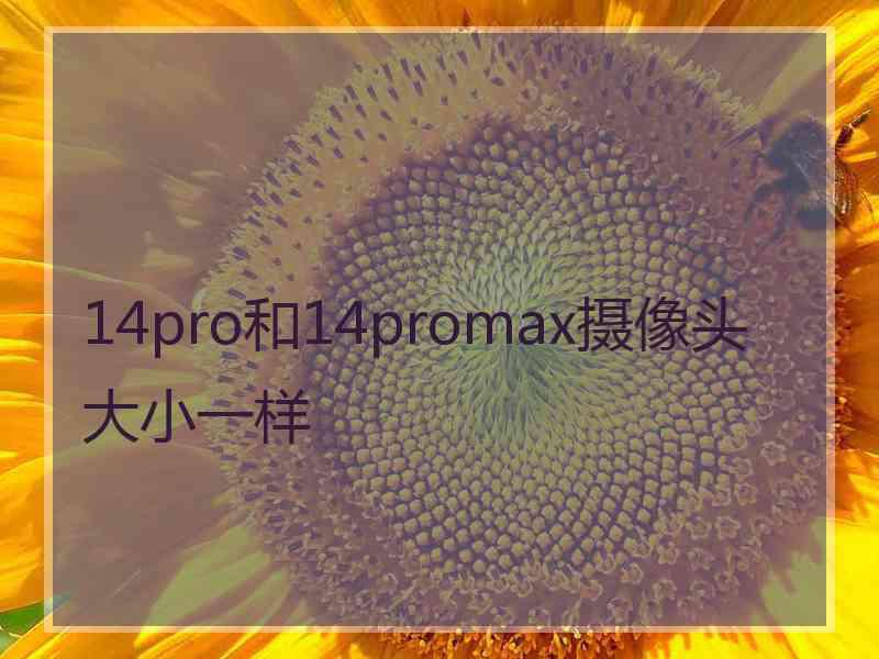 14pro和14promax摄像头大小一样