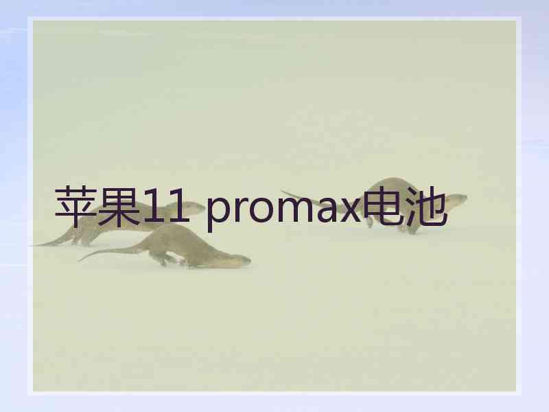 苹果11 promax电池