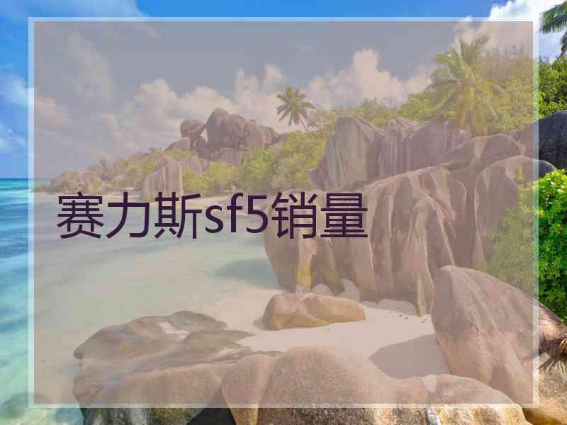 赛力斯sf5销量