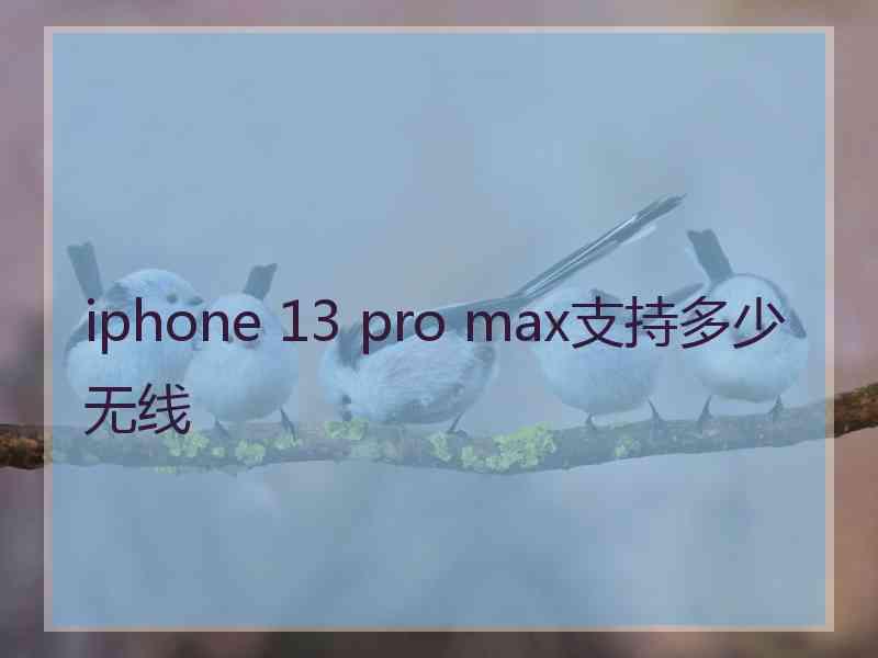 iphone 13 pro max支持多少无线