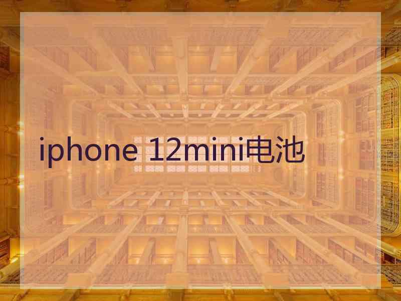 iphone 12mini电池