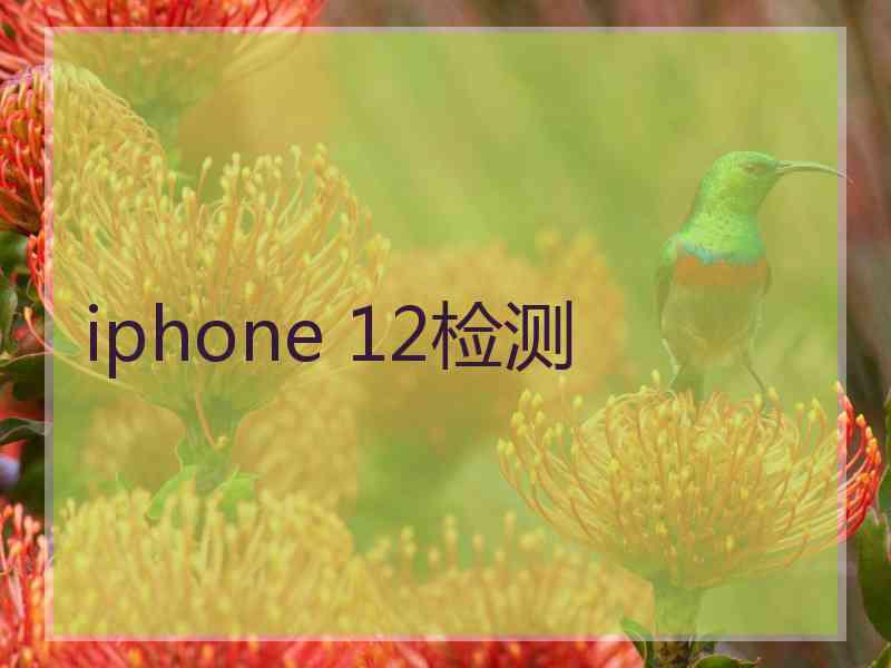 iphone 12检测