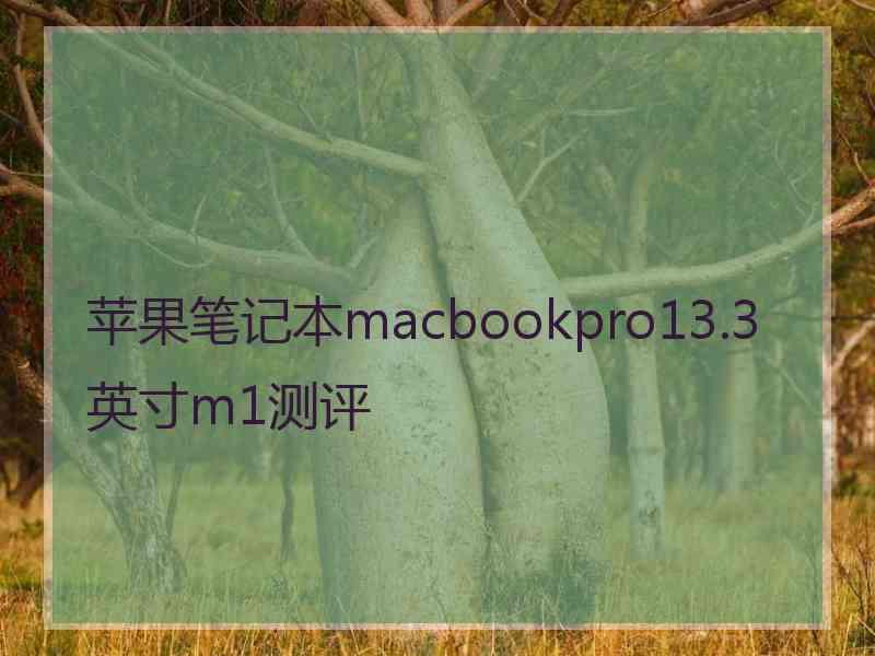 苹果笔记本macbookpro13.3英寸m1测评