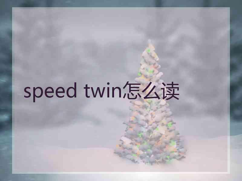 speed twin怎么读