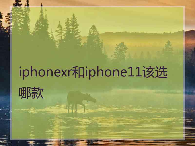 iphonexr和iphone11该选哪款