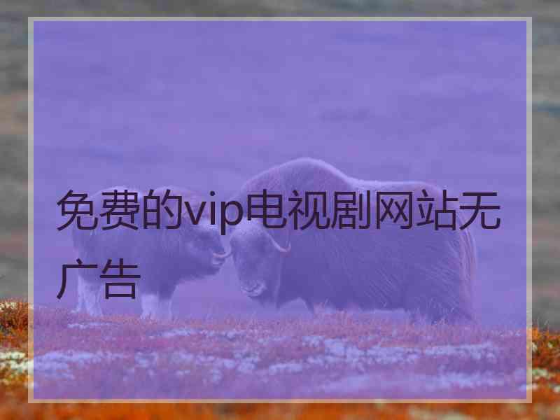 免费的vip电视剧网站无广告