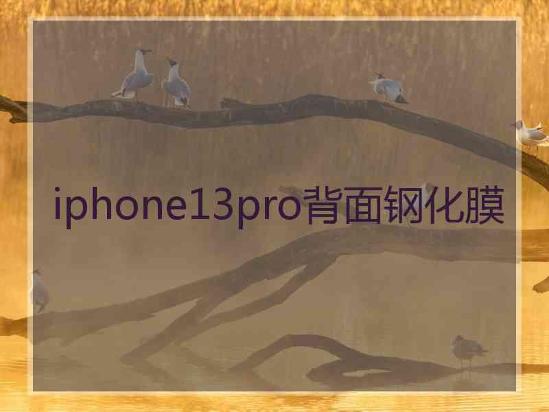 iphone13pro背面钢化膜