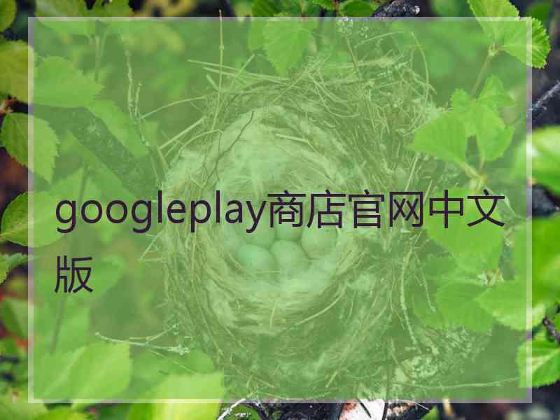 googleplay商店官网中文版