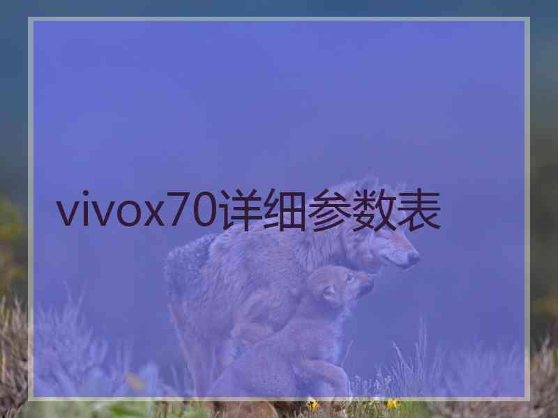 vivox70详细参数表