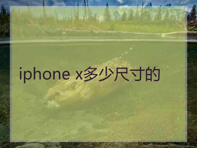 iphone x多少尺寸的