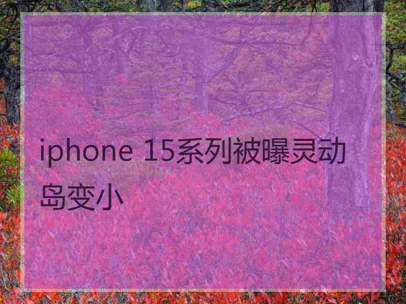 iphone 15系列被曝灵动岛变小