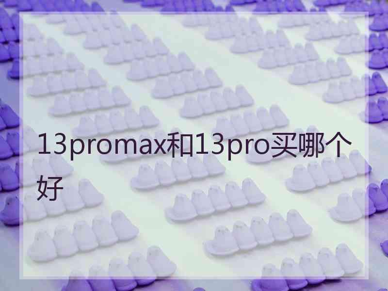 13promax和13pro买哪个好